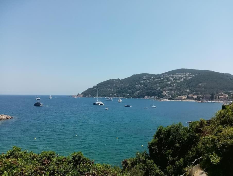 Apartment 2 Pieces Climatise A 200m Des Plages Theoule-sur-Mer